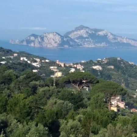 Ferienwohnung La Vista Sul Golfo Massa Lubrense Exterior foto
