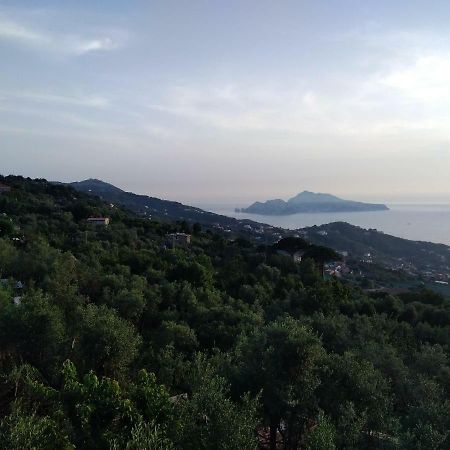 Ferienwohnung La Vista Sul Golfo Massa Lubrense Exterior foto