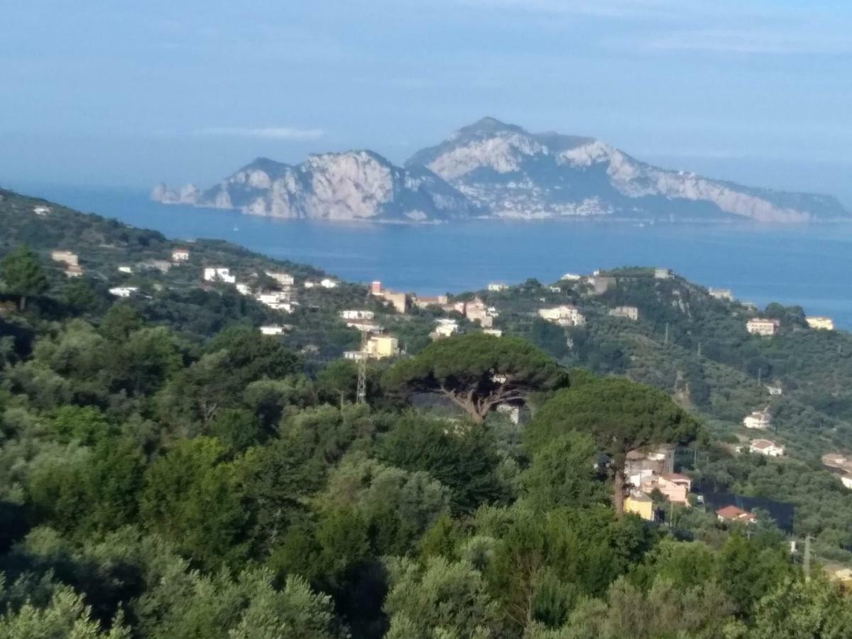 Ferienwohnung La Vista Sul Golfo Massa Lubrense Exterior foto