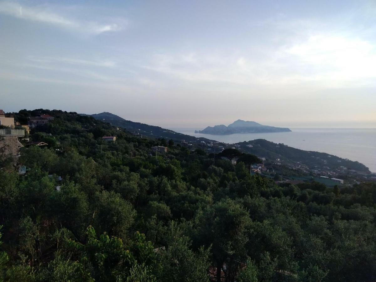 Ferienwohnung La Vista Sul Golfo Massa Lubrense Exterior foto