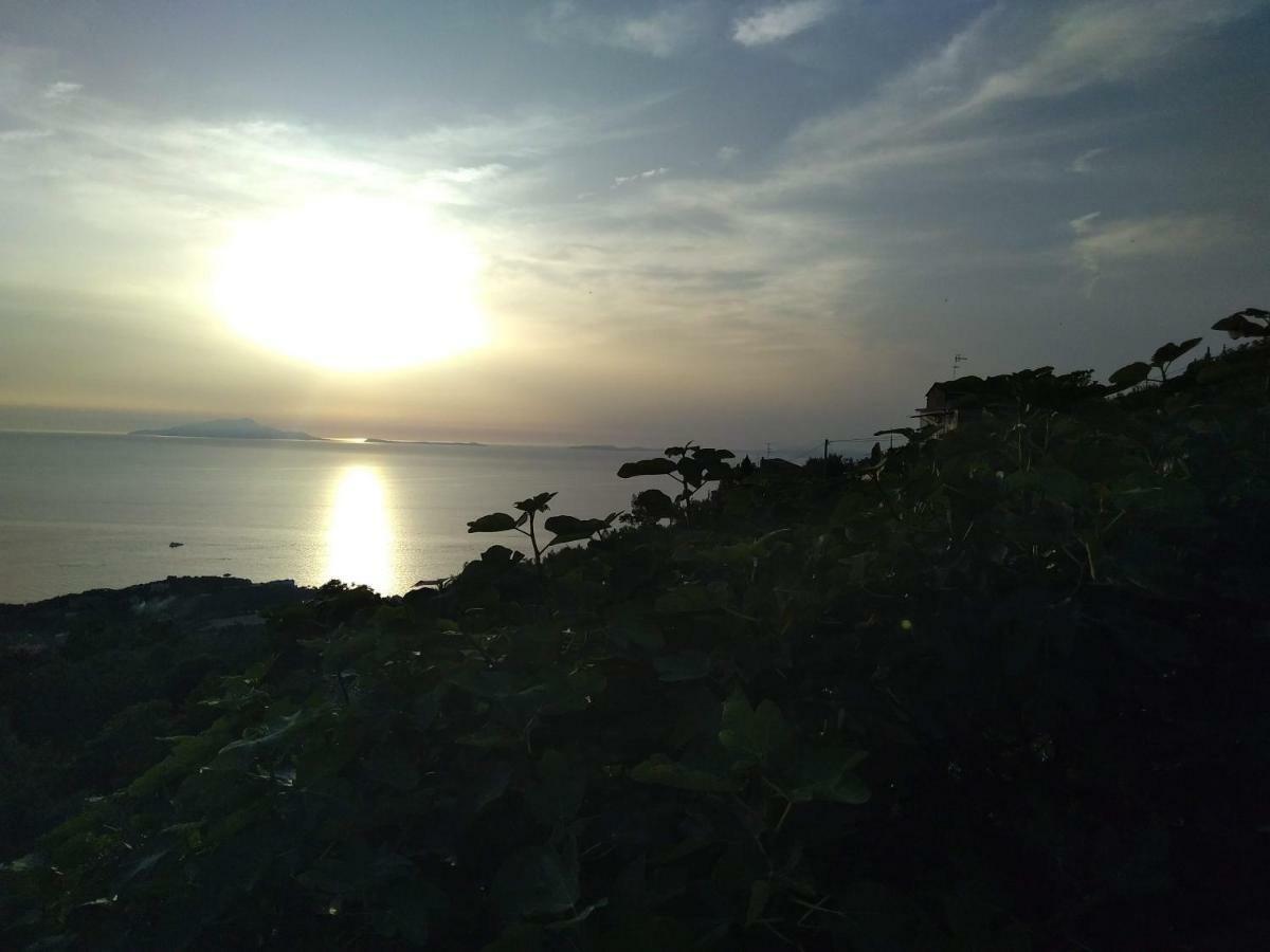 Ferienwohnung La Vista Sul Golfo Massa Lubrense Exterior foto